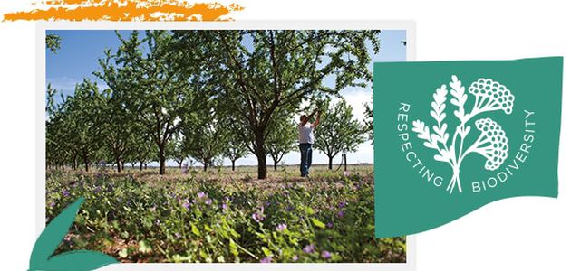 L'Occitane Respecting Biodiversity