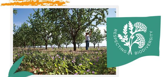 L'Occitane Respecting Biodiversity
