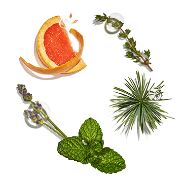 Purifying Freshness Cocktail