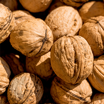 Crushed Walnut Shells