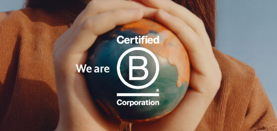 WHAT IS B CORP?