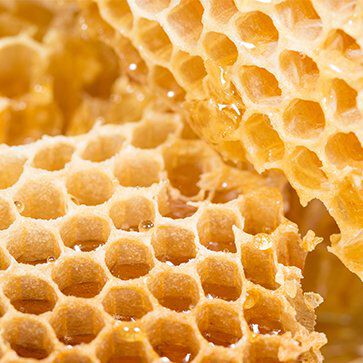 Organic Honey