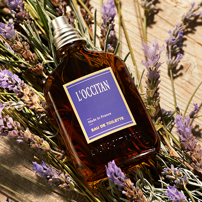 LOccitan EDT