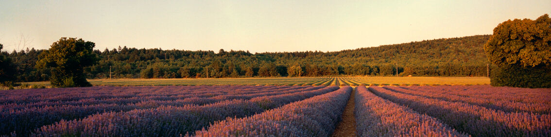 BETTER BEAUTY FOR YOU, BETTER FOR THE EARTH

