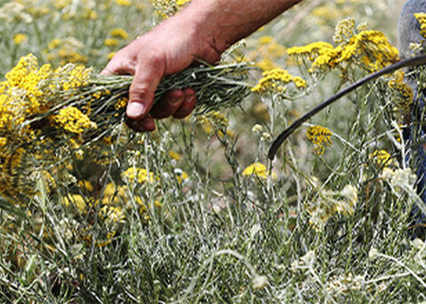 L'OCCITANE Clean Charter