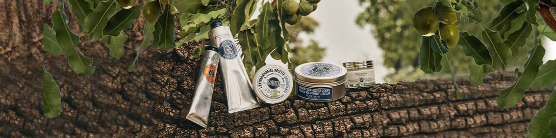 Shea Collection