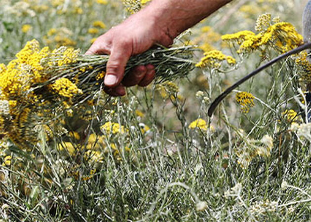 L'OCCITANE Clean Charter