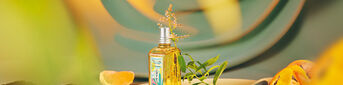 Fresh and Zesty Verbena