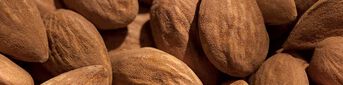 Why Should You Use Almond Body Care?