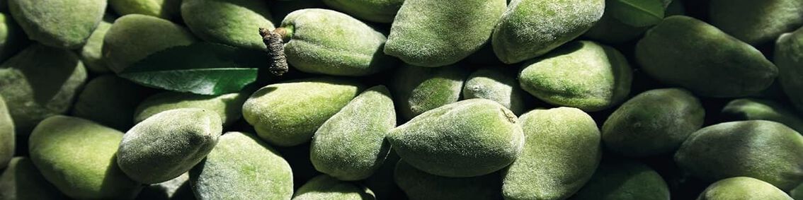 Almond