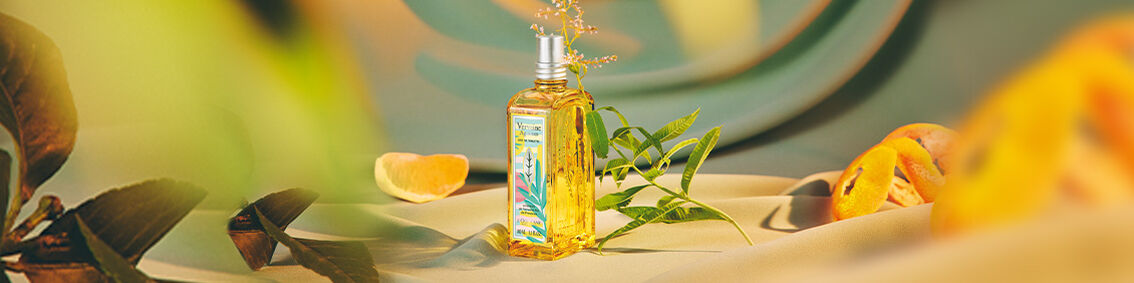 Fresh and Zesty Verbena