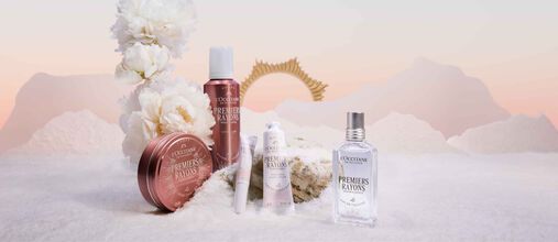Discover  Our Holiday Limited Editions 