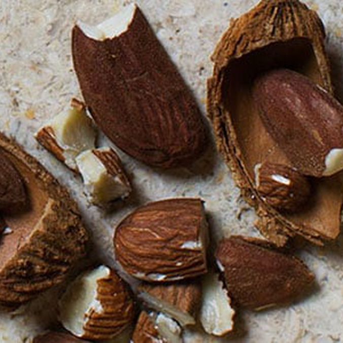 Broken almond - L'Occitane
