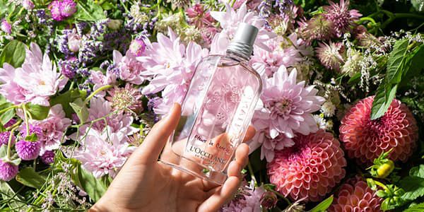 Find Her Signature Scent