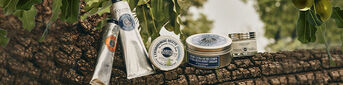 Shea Collection
