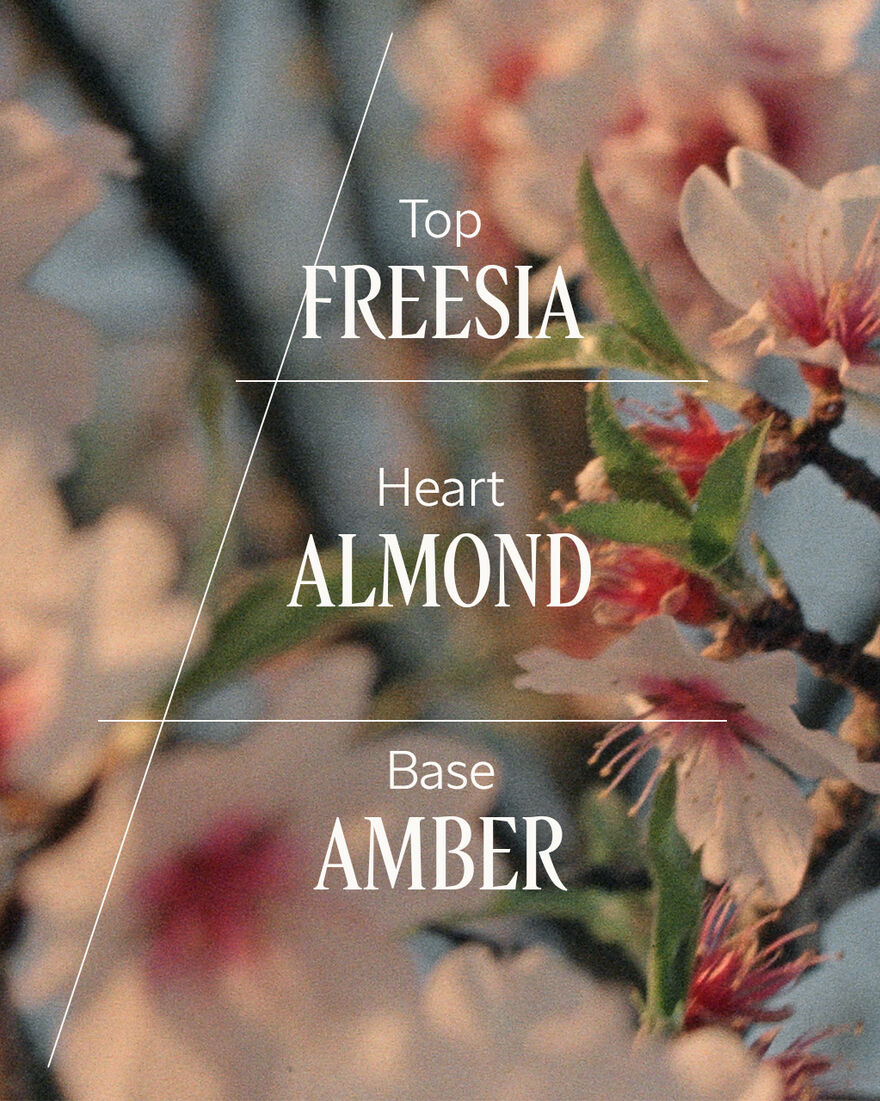 view 3/8 of Almond Delightful​ Hair & Body Mist, , SGRECT