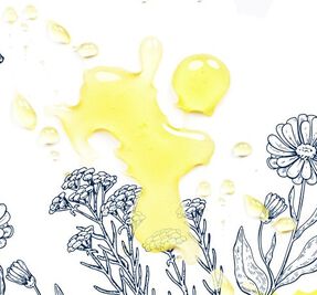 Essential Cleansers