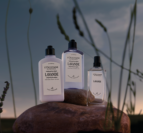 Lavande (Lavender)