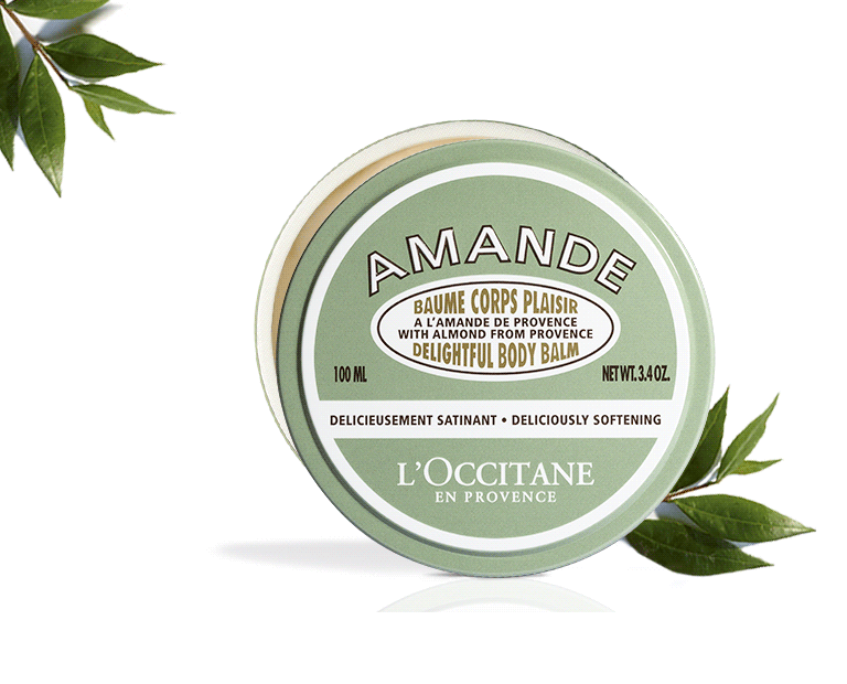 Almond Delightful Body Balm - L'Occitane