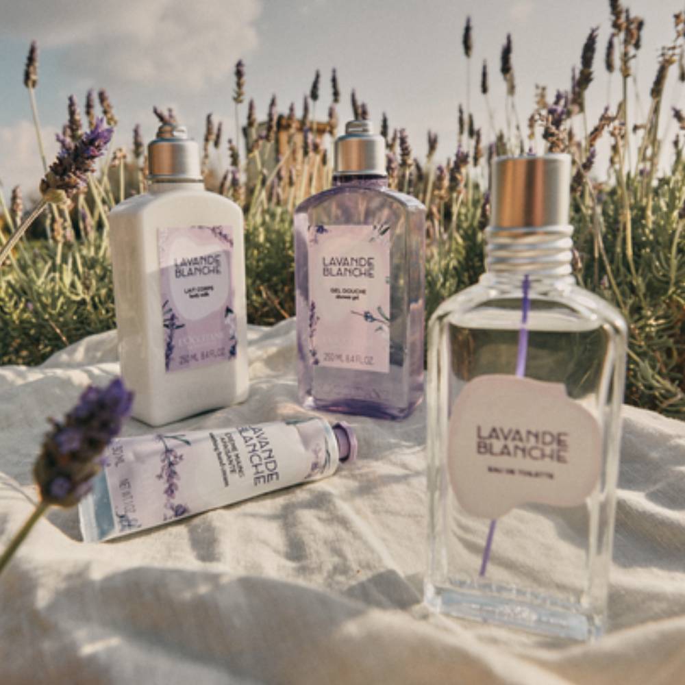 Lavande Blanche (White Lavender) Eau de Toilette 50ml| L'Occitane SG